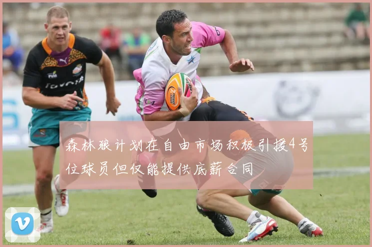 森林狼计划在自由市场积极引援4号位球员但仅能提供底薪合同